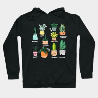 Sansevieria Hoodie